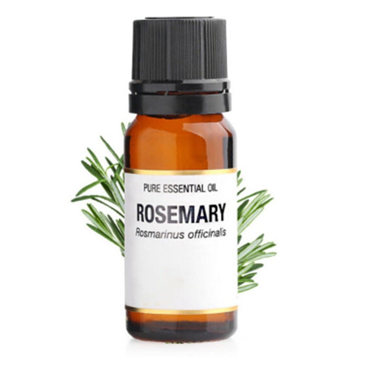 Rosemary essential oil bottle with a white label on a white background