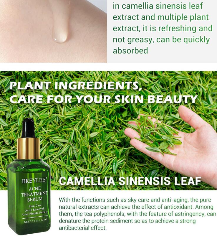 Green bottle of Breylee Acne Treatment Serum with text about plant ingredients and camellia sinensis leaf on a grass background.