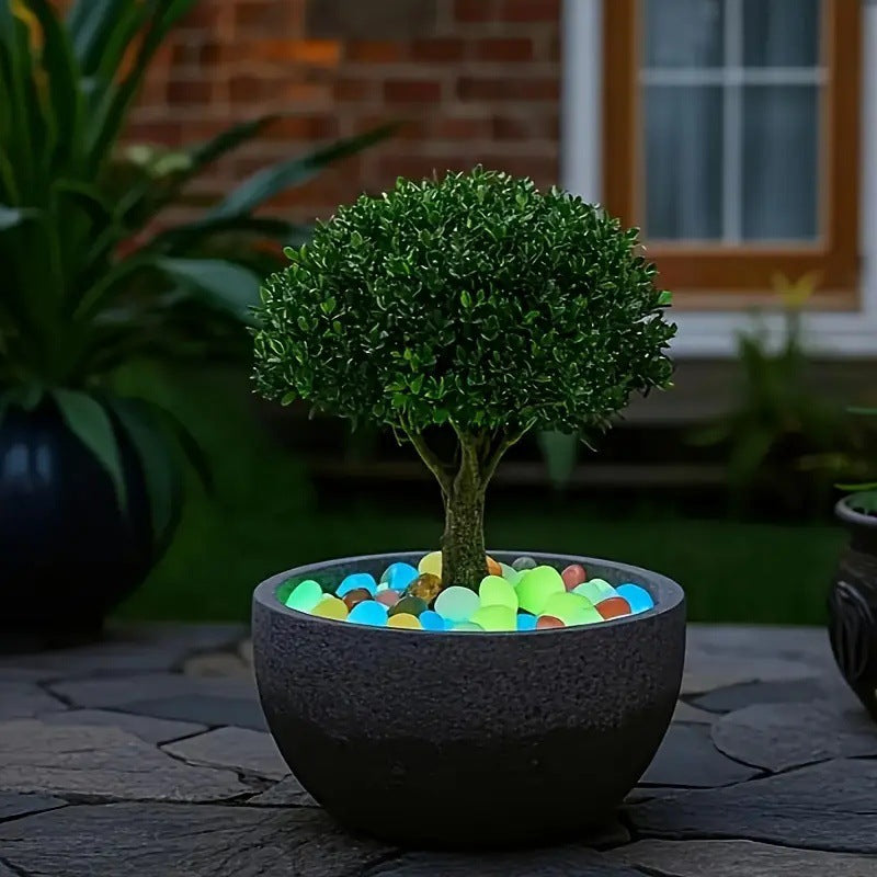 Decorative pot with a small tree and colorful stones on a patio