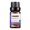 Lavender essential oil bottle with a white label on a white background