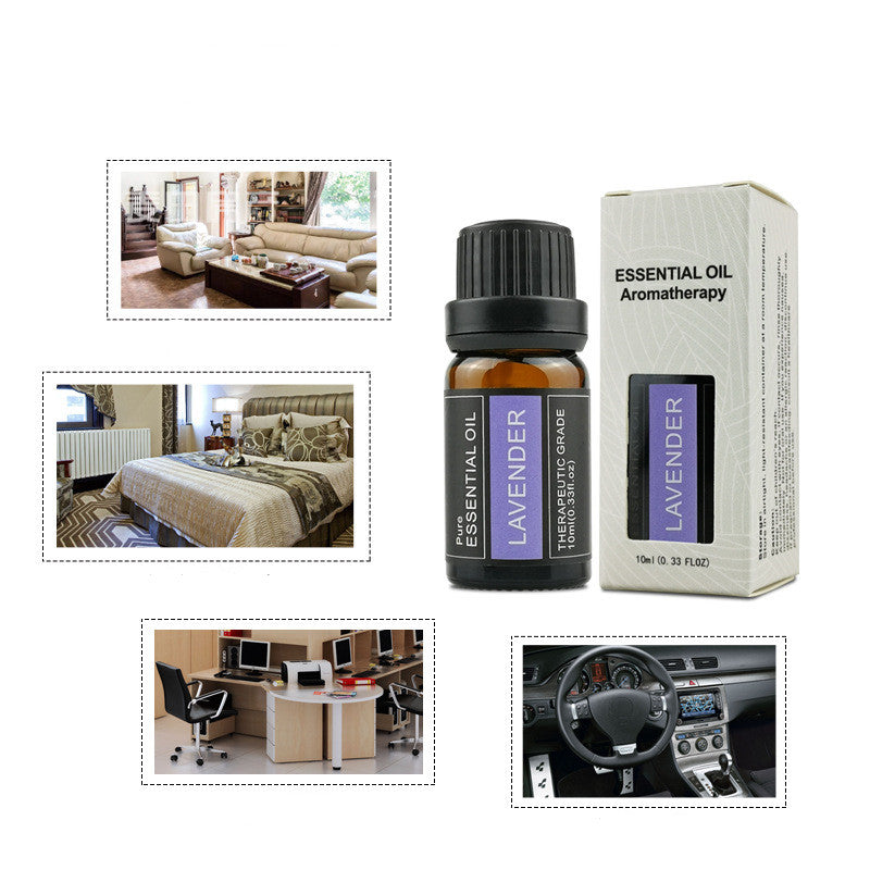 Lavender essential oil bottle and packaging with usage scenarios in a living room, bedroom, office, and car.
