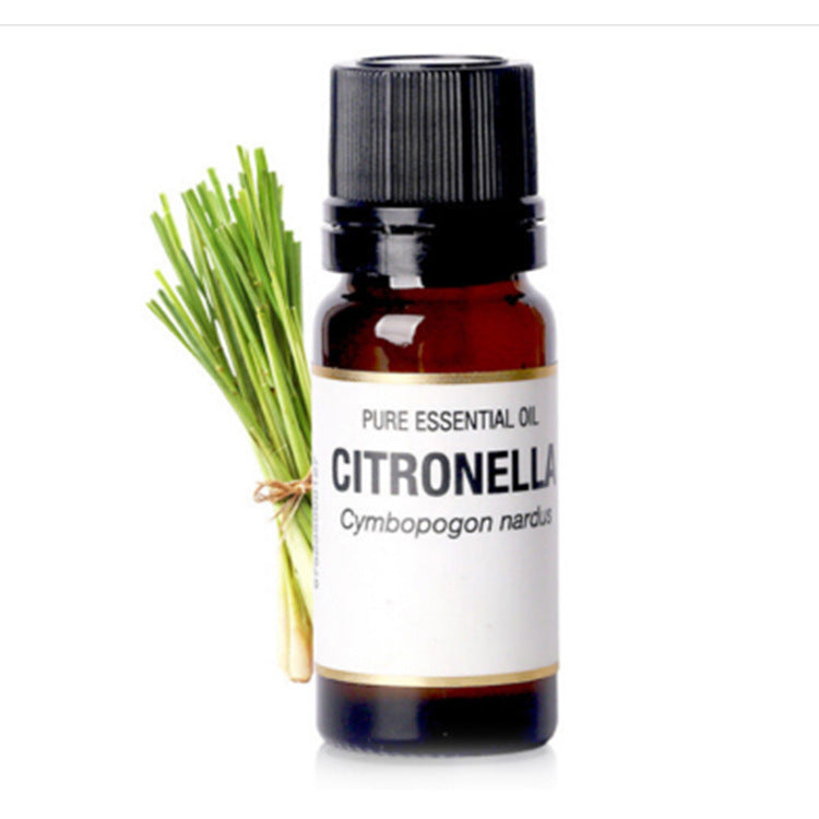Bottle of citronella essential oil with a bundle of green leaves on a white background