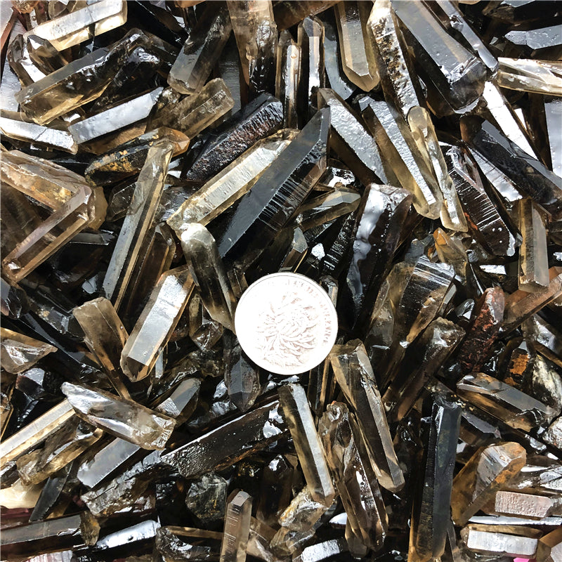 Close-up of smoky quartz crystals with a coin for scale