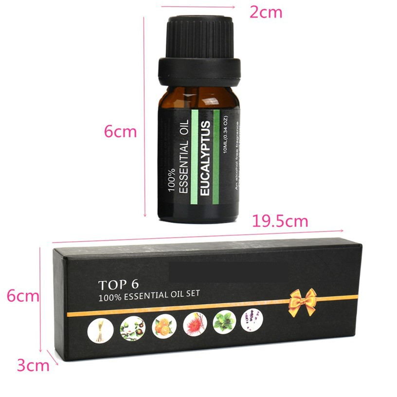 Eucalyptus essential oil bottle with dimensions and packaging box on a white background