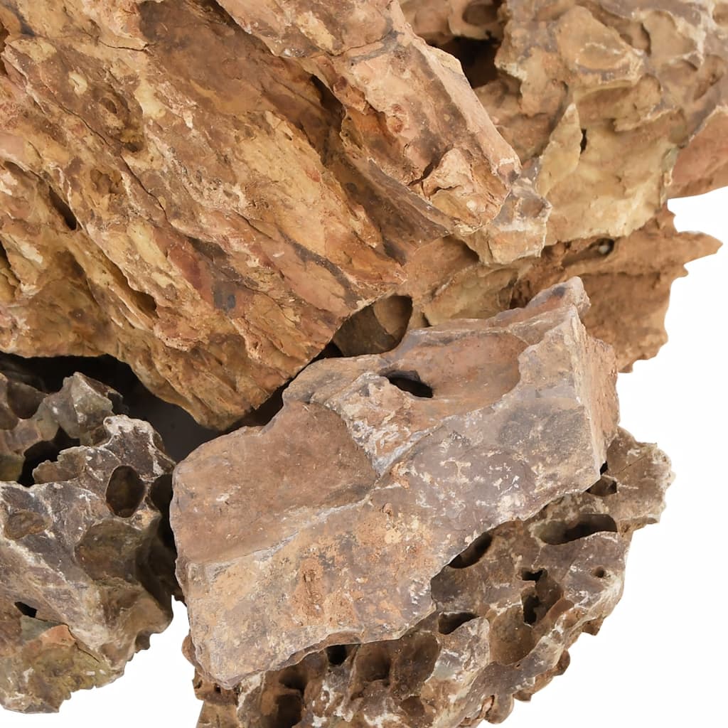 Close-up of textured brown rock surface