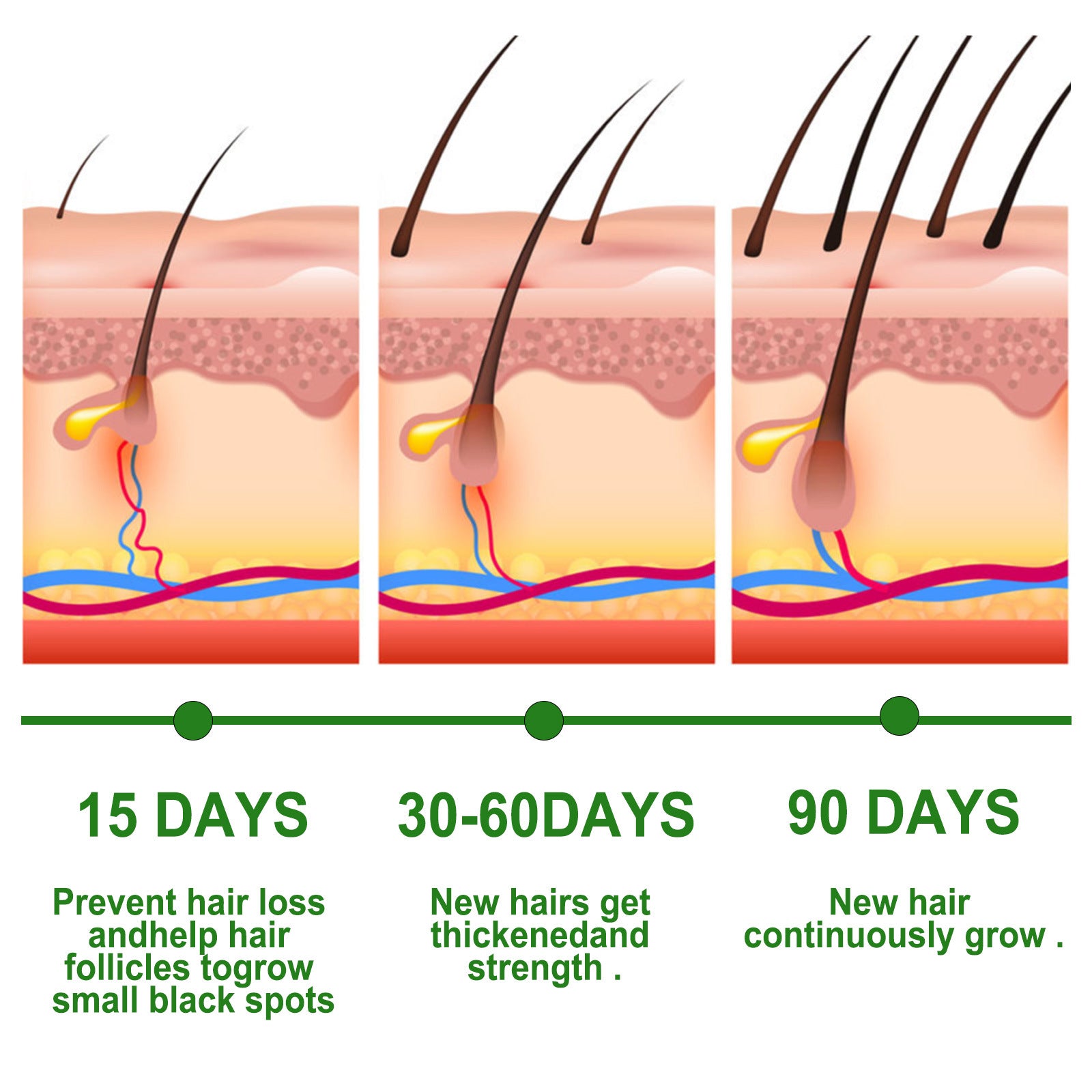 Illustration of hair growth process over 90 days with labeled stages.