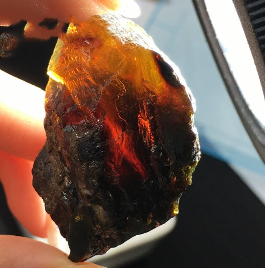 Close-up of a rough amber stone held between fingers with a blurred background