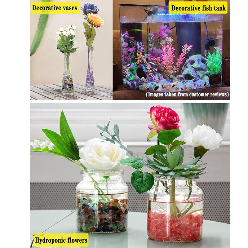 Collage of decorative vases, fish tank with plants, and hydroponic flowers in jars.