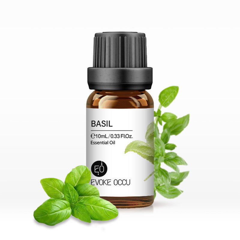 Bottle of basil essential oil with leaves on a white background