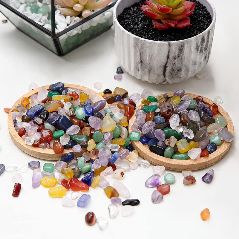 Colorful gemstones on wooden trays with a small potted plant in the background.