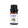 Rosemary essential oil bottle with a white label on a white background