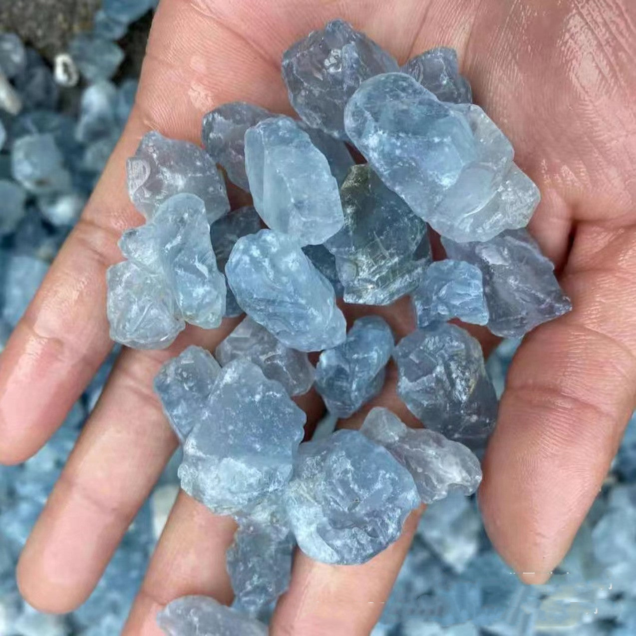 Hand holding a collection of blue crystal rocks with a blurred natural background