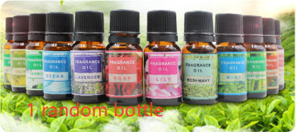 Row of fragrance oil bottles with greenery in the background
