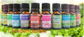 Row of fragrance oil bottles with greenery in the background