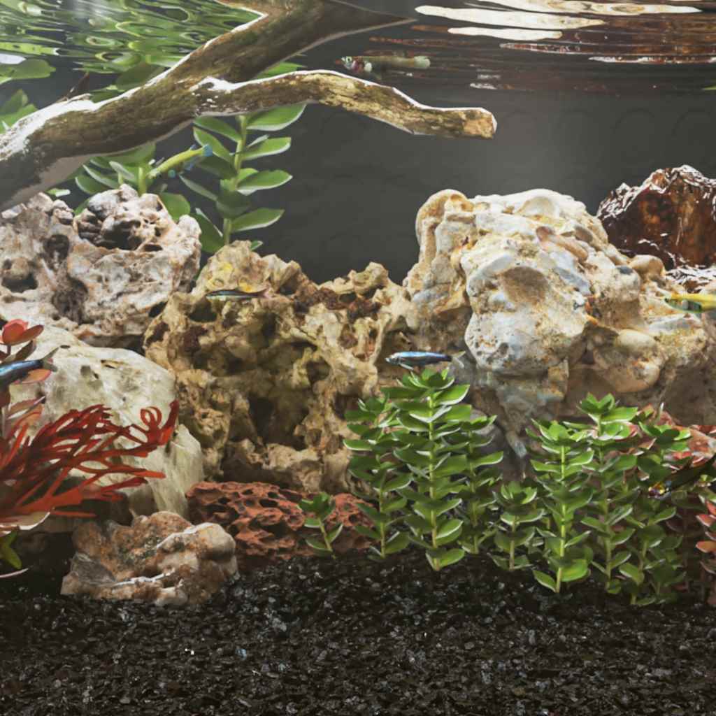 Aquarium setup with rocks, plants, and a branch.