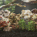 Aquarium setup with rocks, plants, and a branch.