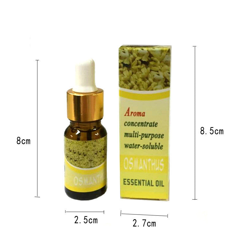 Osmannus essential oil bottle and packaging with dimensions on a white background