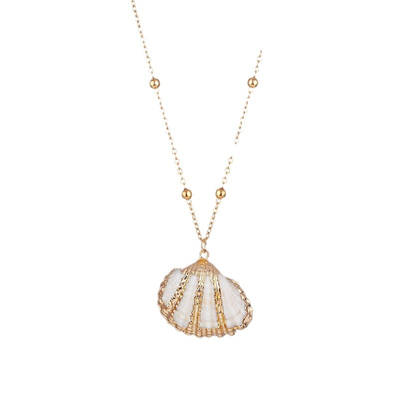 Necklace with a shell pendant on a white background