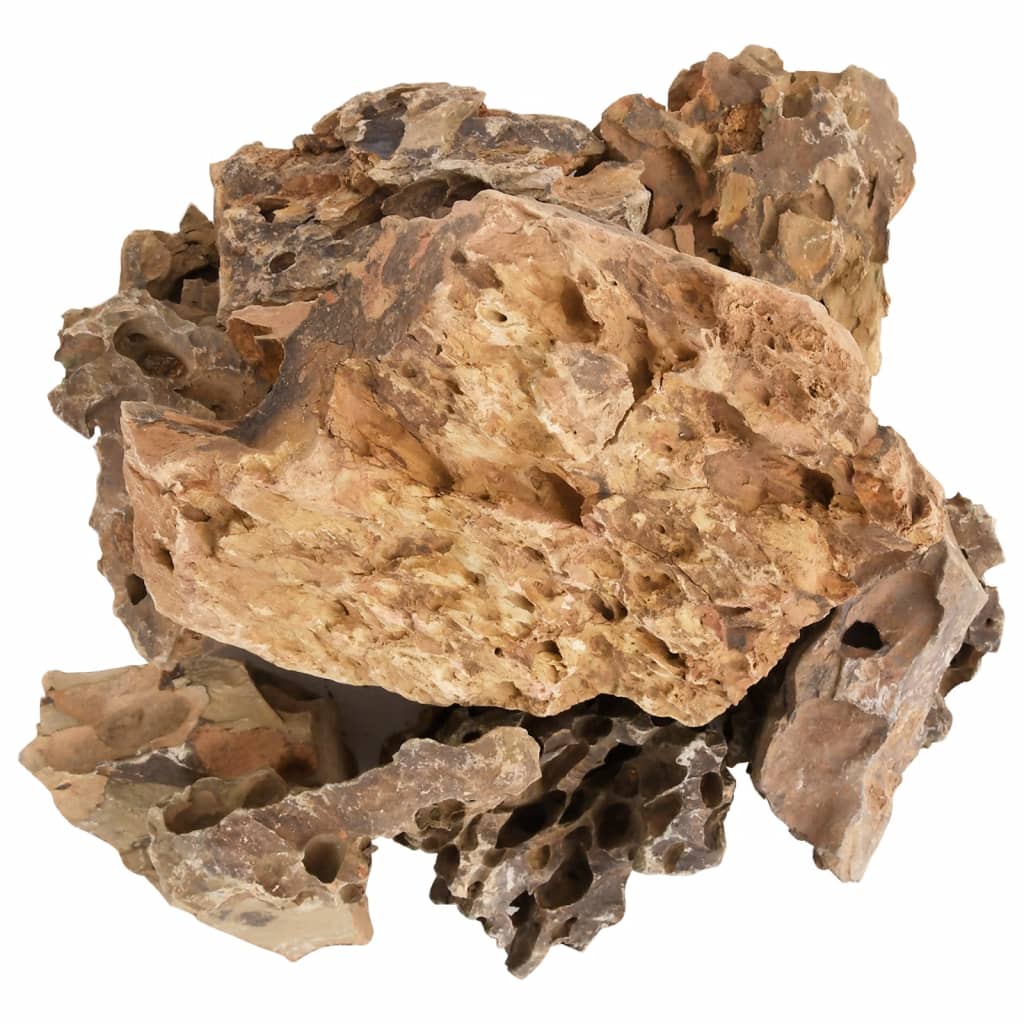 Close-up of a textured brown rock on a white background